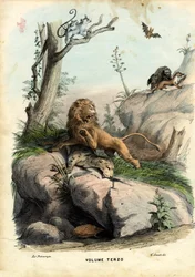 Pagina del Titolo, 1863-79